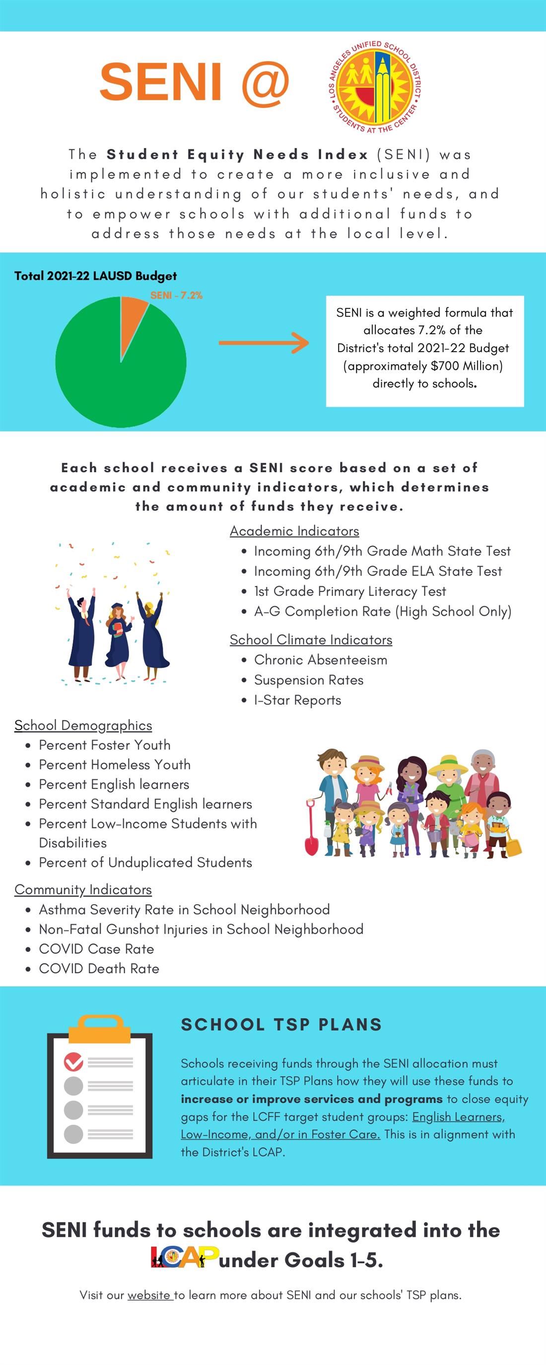 SENI Infographic